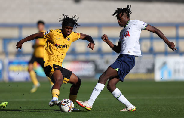 正如投资的 正如投资的