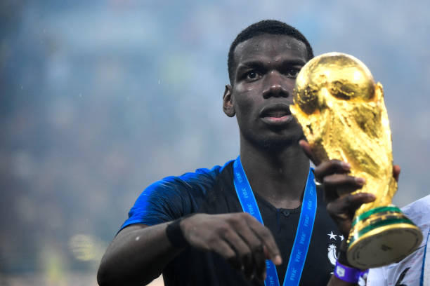 他的全能属 他的全能属